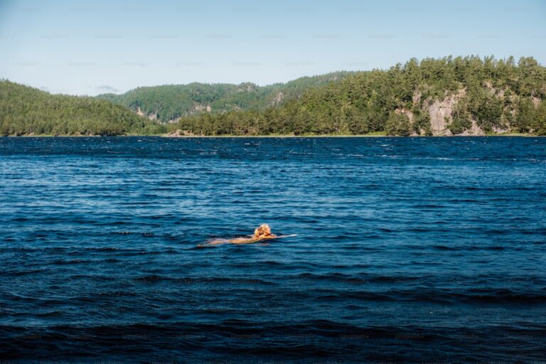 Open Water Distance Confidence Build: 45-Minute Progressive Swim