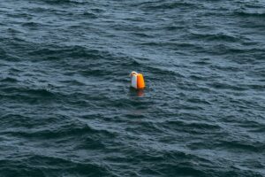 Open Water Swimming Safety: What Every Triathlete Should Know