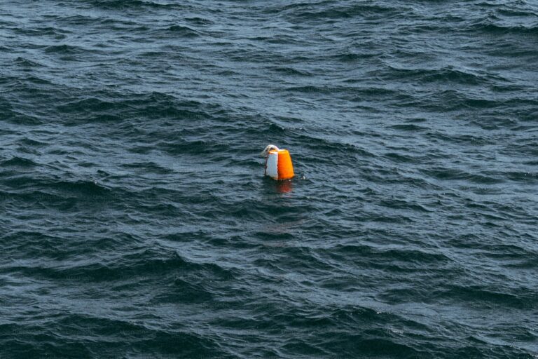 Open Water Swimming Safety: What Every Triathlete Should Know