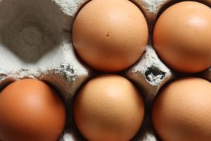 Greek Protein Omelette: High-Protein Training Day Breakfast