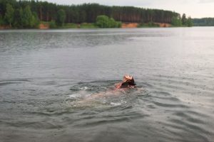 How to Get Faster in Open Water: 7 Proven Triathlon Tips
