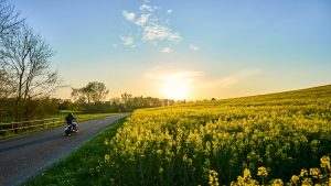 Best Triathlon Cycling Gilets 2026: Wind Vests for Spring Training