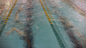 Pure Speed Pool Session: 12x25m All-Out Sprints