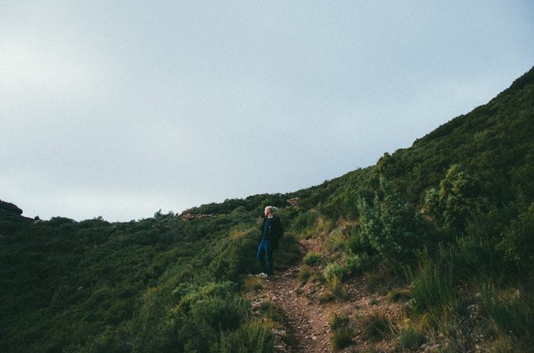 Undulating Terrain Outdoor Run — 90-Minute Aerobic Endurance Session
