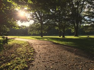 Summer Fartlek Run: 10km Progressive Speed Play Session