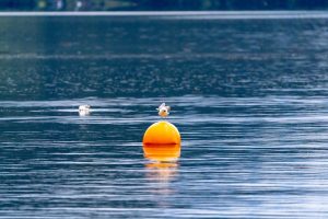 Open Water Skills Circuit: Sighting, Buoy Turns and Drafting Combined