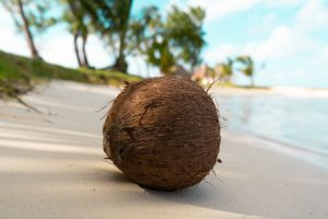 Coconut Water Chia Fresca: Natural Electrolyte Drink for Triathletes