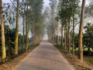 Post-Holiday Return to Training: Easy 30-Minute Run