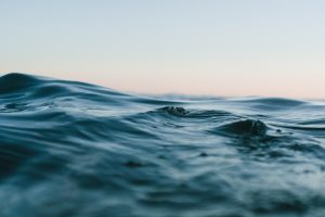 Choppy Open Water Swim: Adaptation Session