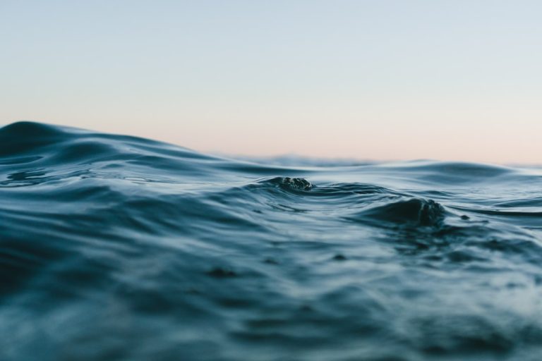 Choppy Open Water Swim: Adaptation Session