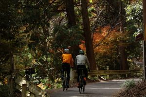Transitioning Your Triathlon Training Into Autumn