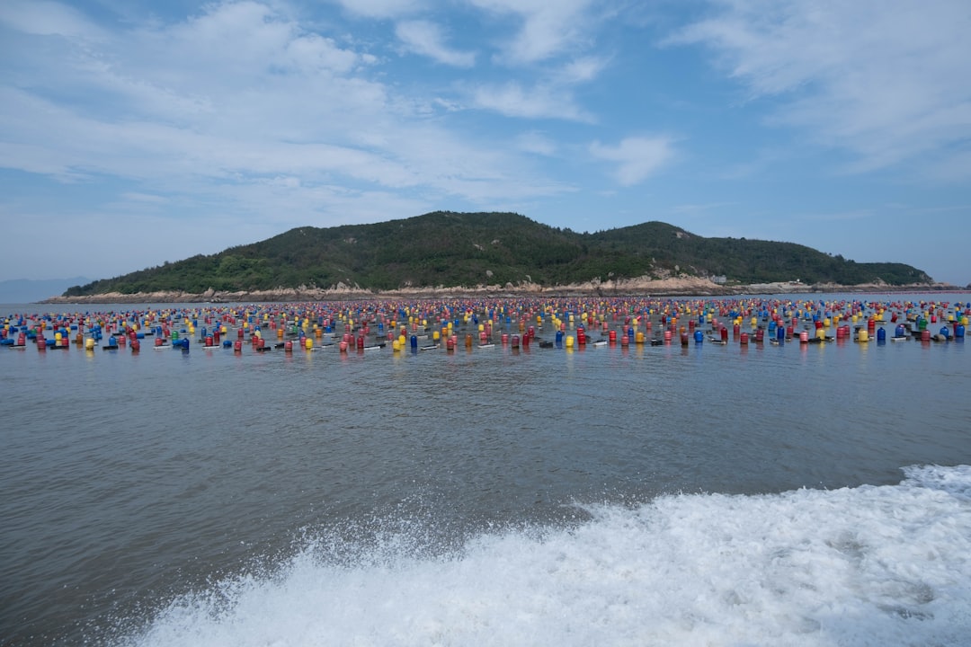 What Is Swimrun? A Beginner’s Guide for Triathletes