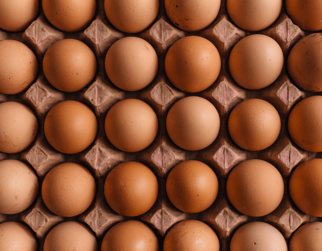 How Much Protein Do Triathletes Actually Need? A Science-Based Guide