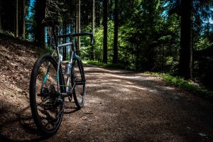 Pirelli P Zero Race TLR vs Continental GP5000 S TR: Which Tubeless Tyre Should You Run in 2026?